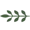 🌿